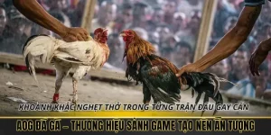 blog banner 8