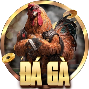 provider daga
